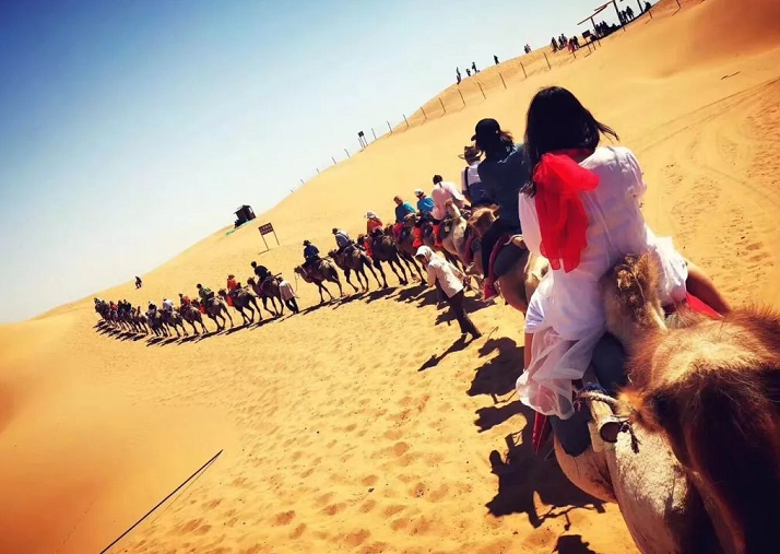 力邁中美國(guó)際學(xué)校總校全體教職工寧夏之行第三天
