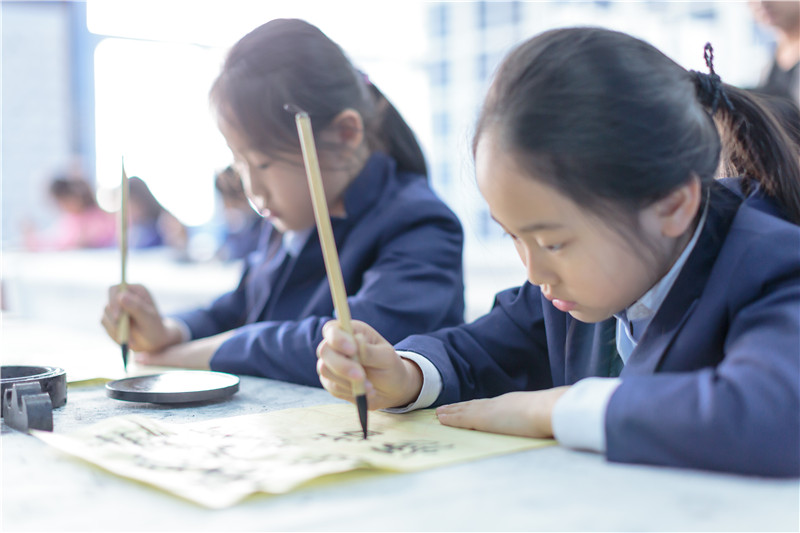 如果不適應(yīng)國(guó)際課程，能否轉(zhuǎn)入公立學(xué)校高中注冊(cè)國(guó)內(nèi)學(xué)籍