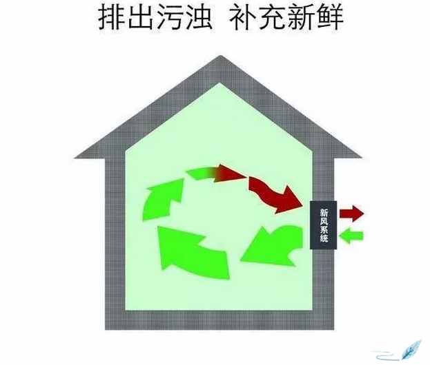 力邁中美新疆烏魯木齊國際幼兒園|期待·了解(圖3)