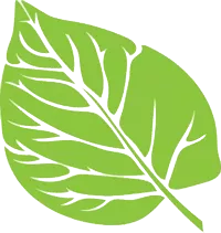 壓力，不是成年人的“專(zhuān)利”/力邁中美國(guó)際學(xué)校朝陽(yáng)區(qū)心理探究課(圖4)