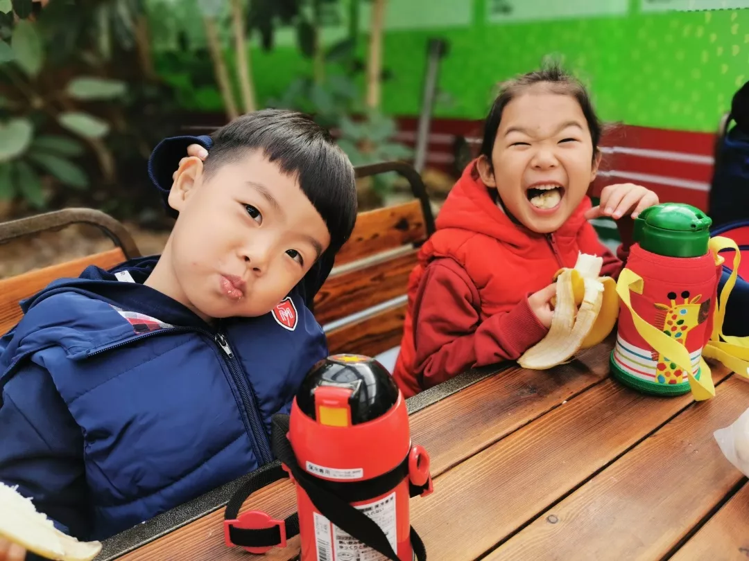 【力邁九華】遠(yuǎn)離城市喧囂，感受自然美麗—力邁幼兒園大自然親近課(圖1)
