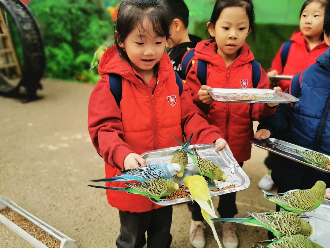 【力邁九華】遠(yuǎn)離城市喧囂，感受自然美麗—力邁幼兒園大自然親近課(圖5)