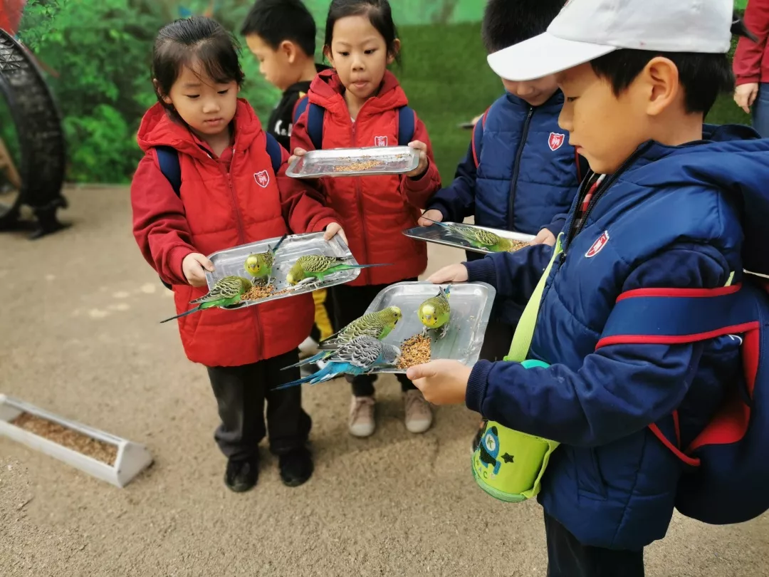 【力邁九華】遠(yuǎn)離城市喧囂，感受自然美麗—力邁幼兒園大自然親近課(圖6)