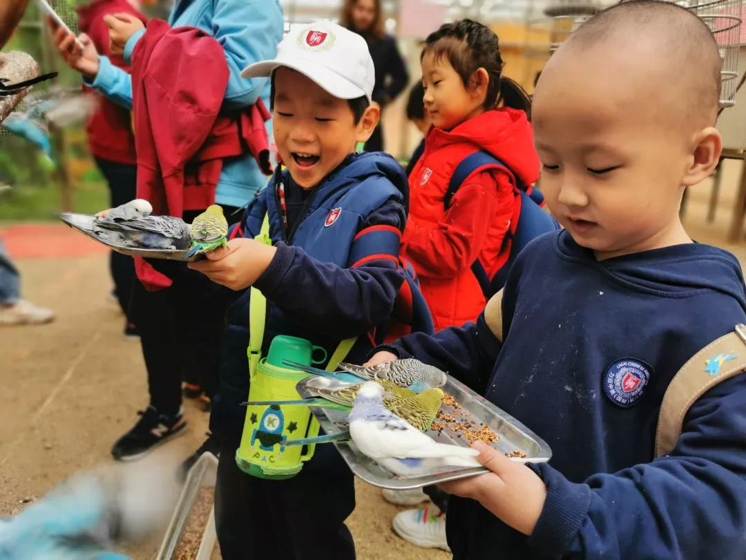 【力邁九華】遠(yuǎn)離城市喧囂，感受自然美麗—力邁幼兒園大自然親近課(圖7)