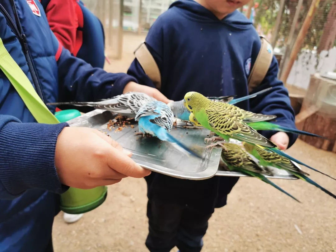 【力邁九華】遠(yuǎn)離城市喧囂，感受自然美麗—力邁幼兒園大自然親近課(圖8)