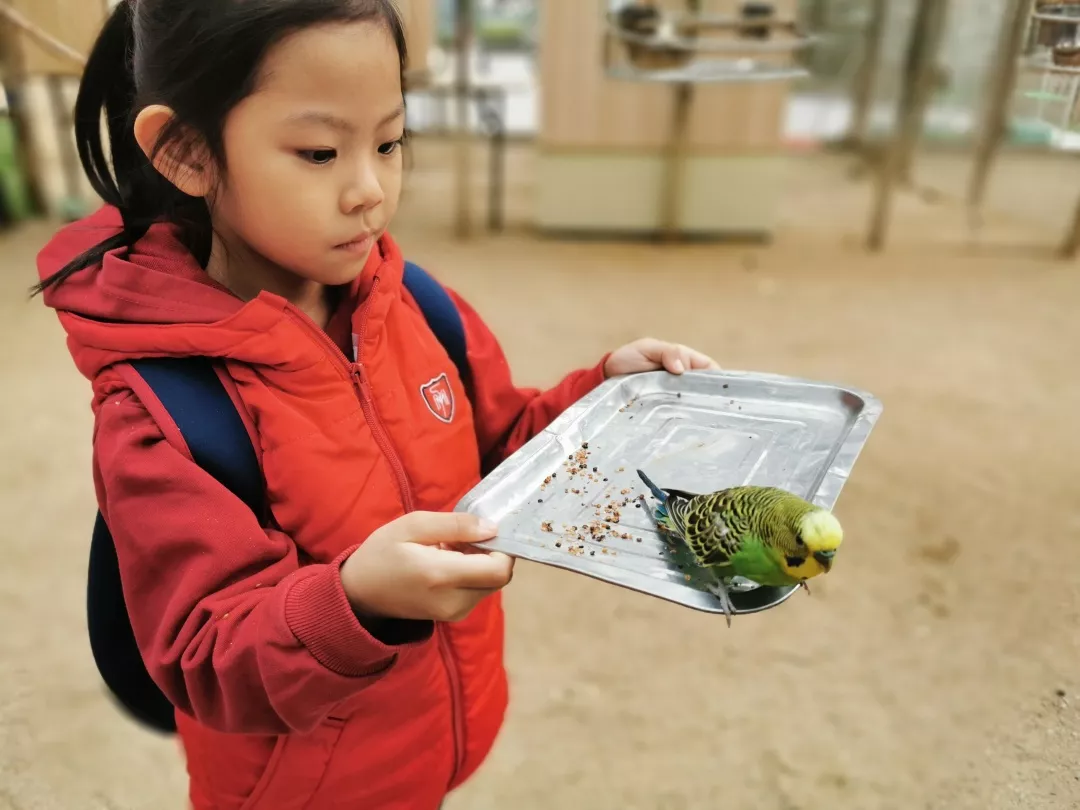 【力邁九華】遠(yuǎn)離城市喧囂，感受自然美麗—力邁幼兒園大自然親近課(圖9)