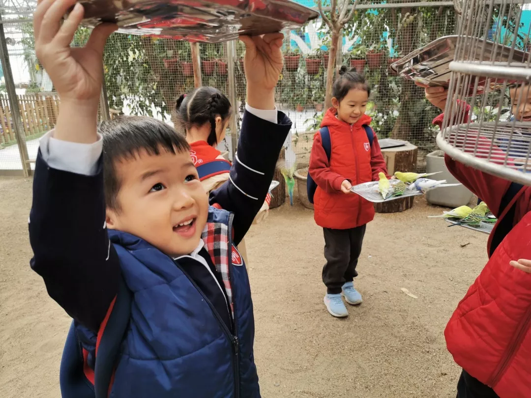 【力邁九華】遠(yuǎn)離城市喧囂，感受自然美麗—力邁幼兒園大自然親近課(圖10)