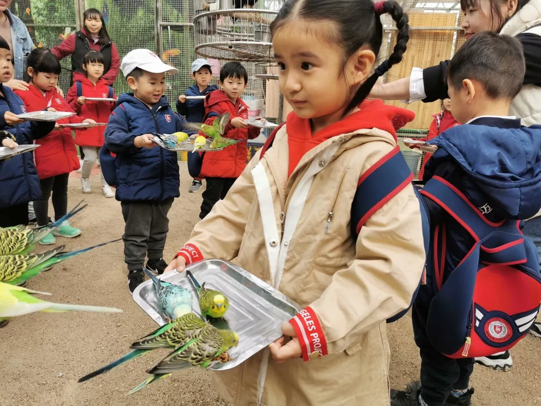 【力邁九華】遠(yuǎn)離城市喧囂，感受自然美麗—力邁幼兒園大自然親近課(圖11)