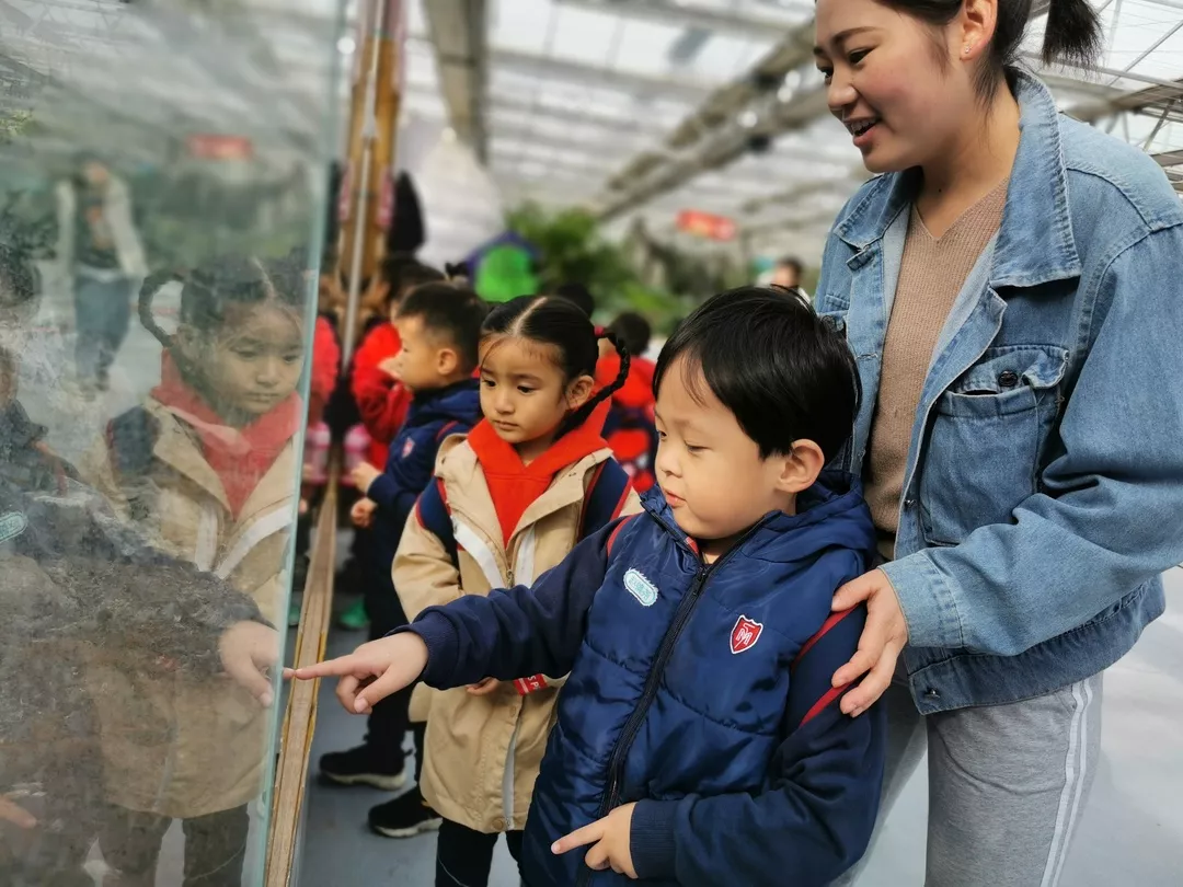 【力邁九華】遠(yuǎn)離城市喧囂，感受自然美麗—力邁幼兒園大自然親近課(圖12)