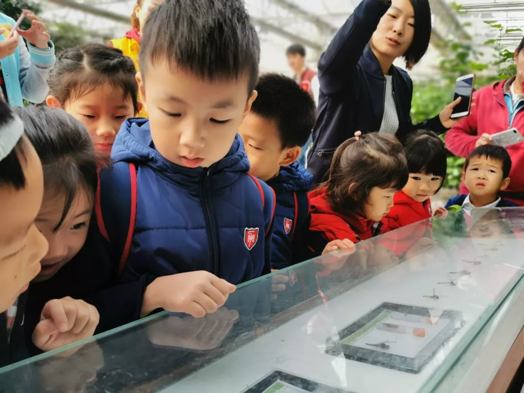 【力邁九華】遠(yuǎn)離城市喧囂，感受自然美麗—力邁幼兒園大自然親近課(圖13)