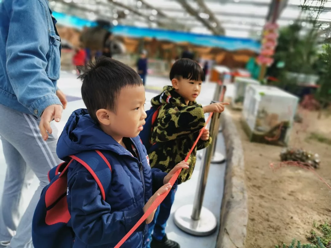【力邁九華】遠(yuǎn)離城市喧囂，感受自然美麗—力邁幼兒園大自然親近課(圖14)