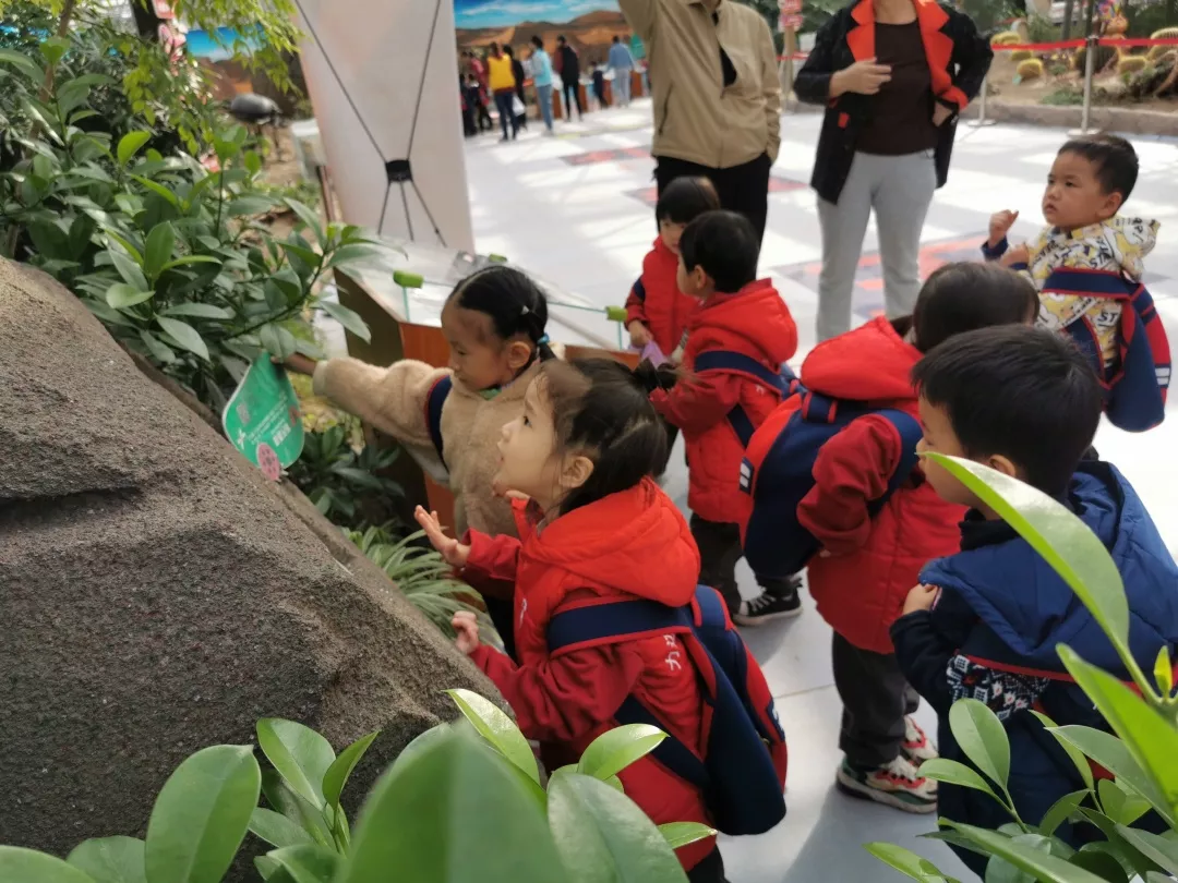 【力邁九華】遠(yuǎn)離城市喧囂，感受自然美麗—力邁幼兒園大自然親近課(圖15)