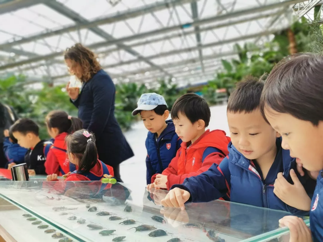 【力邁九華】遠(yuǎn)離城市喧囂，感受自然美麗—力邁幼兒園大自然親近課(圖16)