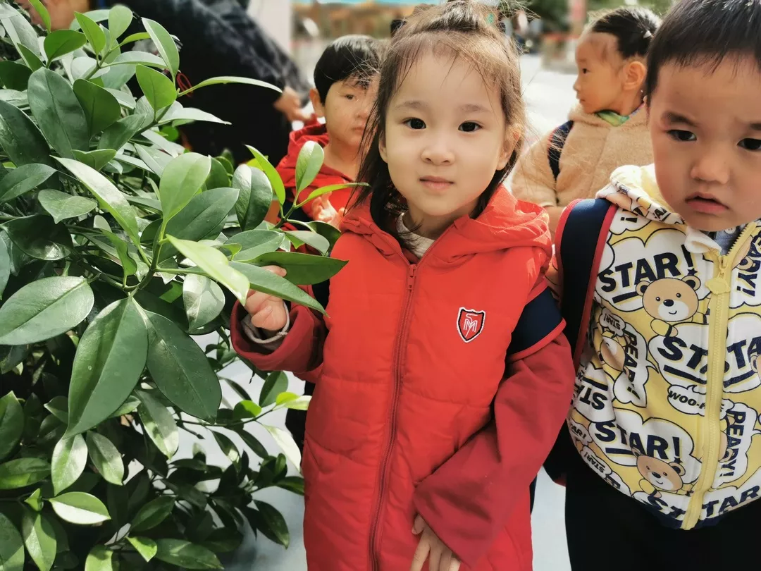 【力邁九華】遠(yuǎn)離城市喧囂，感受自然美麗—力邁幼兒園大自然親近課(圖17)