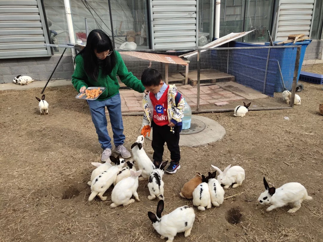 【力邁九華】遠(yuǎn)離城市喧囂，感受自然美麗—力邁幼兒園大自然親近課(圖20)