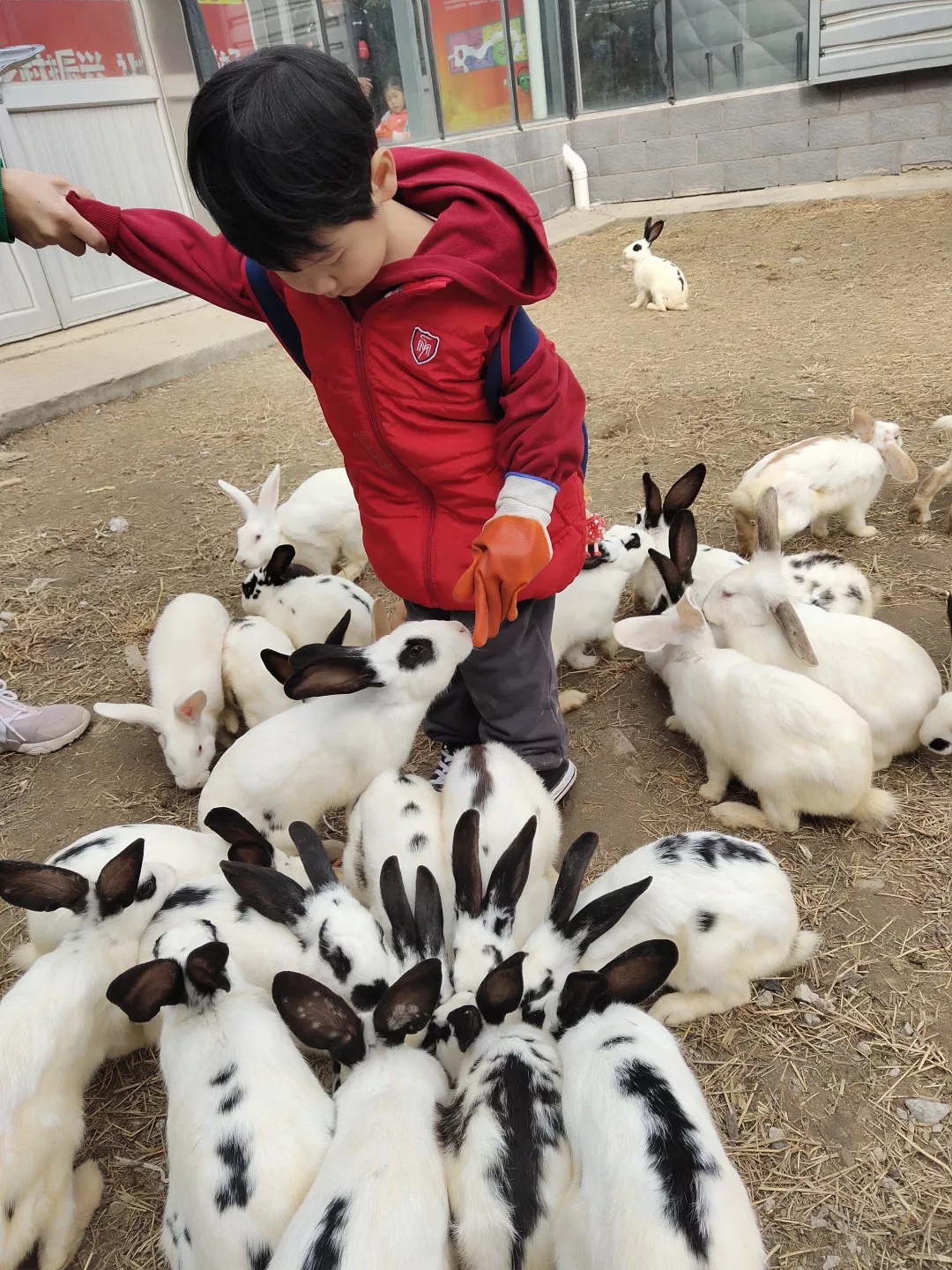 【力邁九華】遠(yuǎn)離城市喧囂，感受自然美麗—力邁幼兒園大自然親近課(圖22)