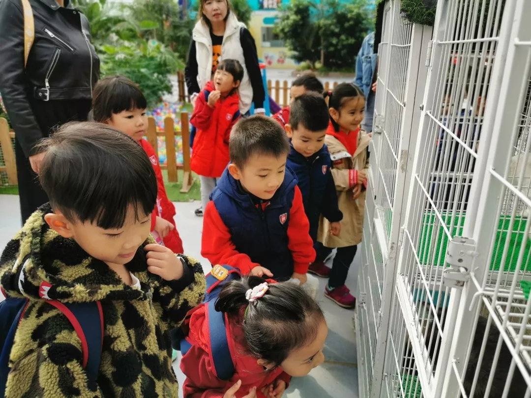 【力邁九華】遠(yuǎn)離城市喧囂，感受自然美麗—力邁幼兒園大自然親近課(圖23)