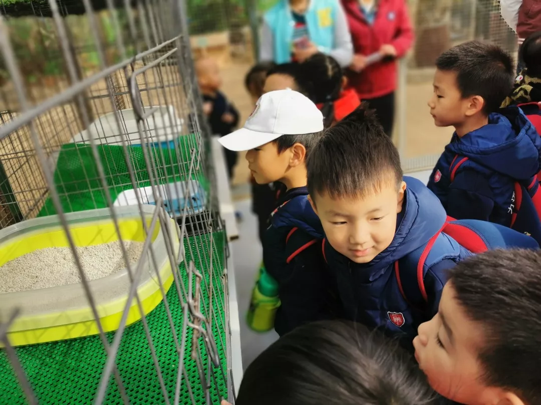 【力邁九華】遠(yuǎn)離城市喧囂，感受自然美麗—力邁幼兒園大自然親近課(圖24)