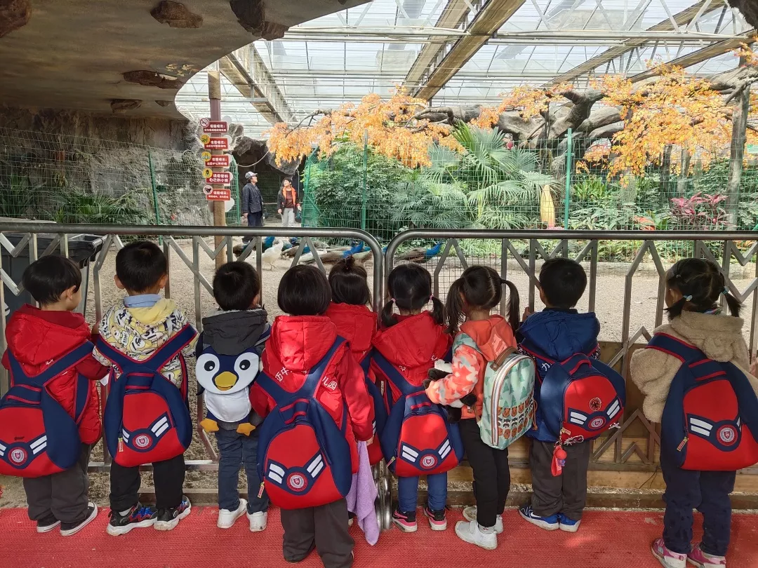 【力邁九華】遠(yuǎn)離城市喧囂，感受自然美麗—力邁幼兒園大自然親近課(圖25)
