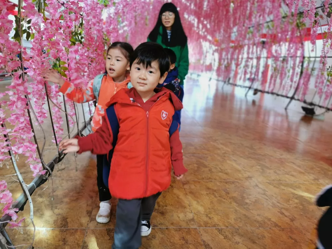 【力邁九華】遠(yuǎn)離城市喧囂，感受自然美麗—力邁幼兒園大自然親近課(圖27)