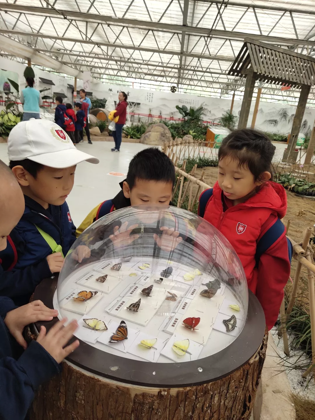 【力邁九華】遠(yuǎn)離城市喧囂，感受自然美麗—力邁幼兒園大自然親近課(圖29)