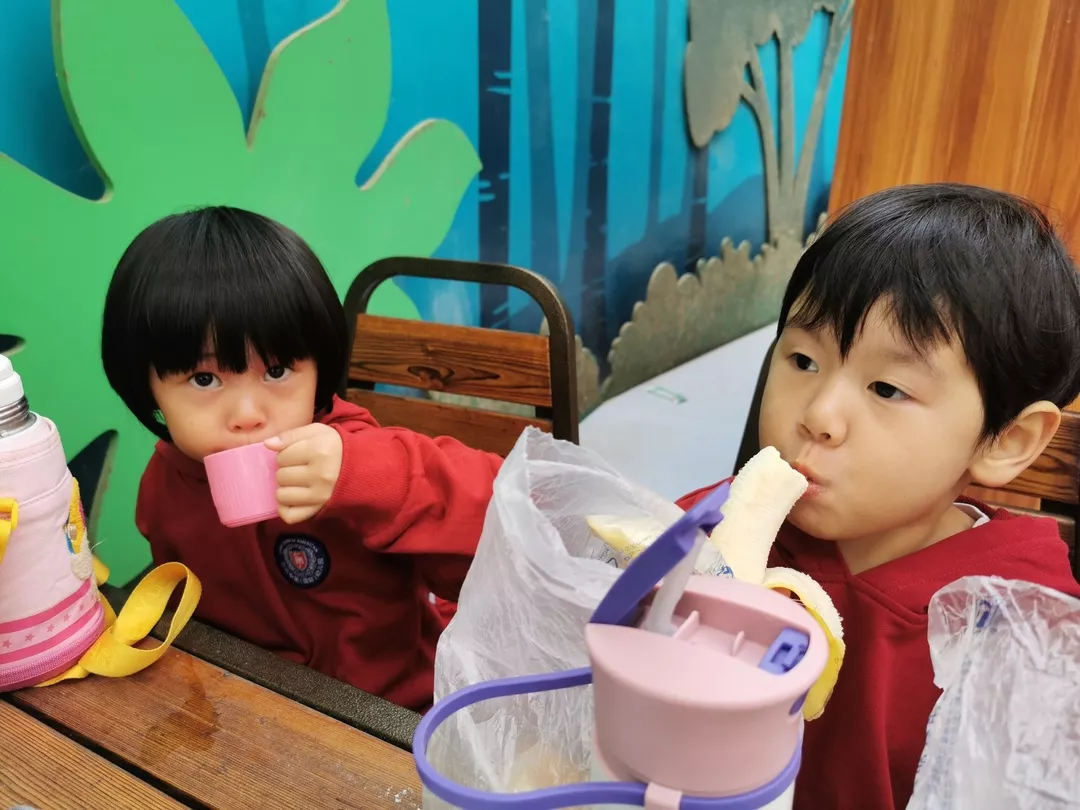 【力邁九華】遠(yuǎn)離城市喧囂，感受自然美麗—力邁幼兒園大自然親近課(圖31)