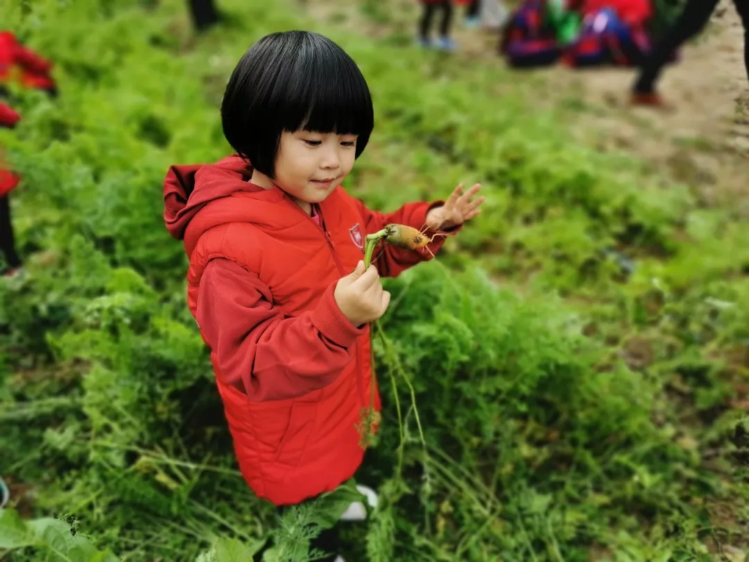 【力邁九華】遠(yuǎn)離城市喧囂，感受自然美麗—力邁幼兒園大自然親近課(圖39)