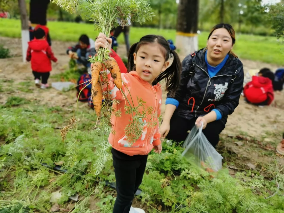 【力邁九華】遠(yuǎn)離城市喧囂，感受自然美麗—力邁幼兒園大自然親近課(圖40)