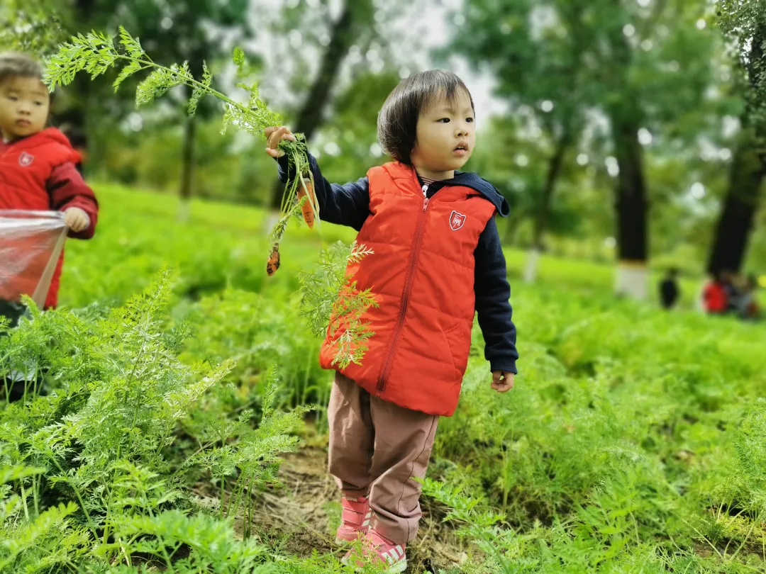 【力邁九華】遠(yuǎn)離城市喧囂，感受自然美麗—力邁幼兒園大自然親近課(圖41)