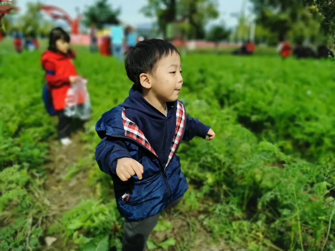 【力邁九華】遠(yuǎn)離城市喧囂，感受自然美麗—力邁幼兒園大自然親近課(圖42)