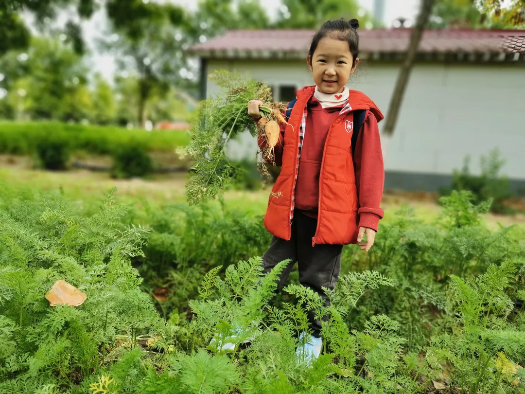 【力邁九華】遠(yuǎn)離城市喧囂，感受自然美麗—力邁幼兒園大自然親近課(圖44)