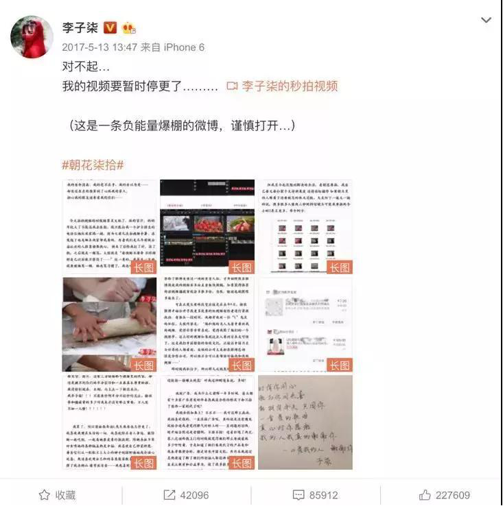 【力邁推薦】被央視點(diǎn)名表?yè)P(yáng)，李子柒成功路上的堅(jiān)持你看到了嗎？(圖11)