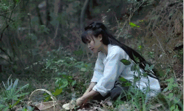 【力邁推薦】被央視點(diǎn)名表?yè)P(yáng)，李子柒成功路上的堅(jiān)持你看到了嗎？(圖10)