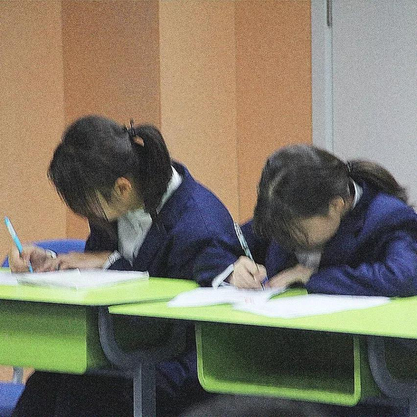 “愛(ài)與責(zé)任”相濟(jì)，“道德與法制”并重/力邁中美國(guó)際學(xué)校主題班會(huì)觀摩課(圖22)