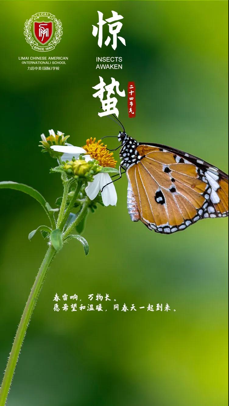 線(xiàn)上直播 | PBL項(xiàng)目式探索飛行(圖1)