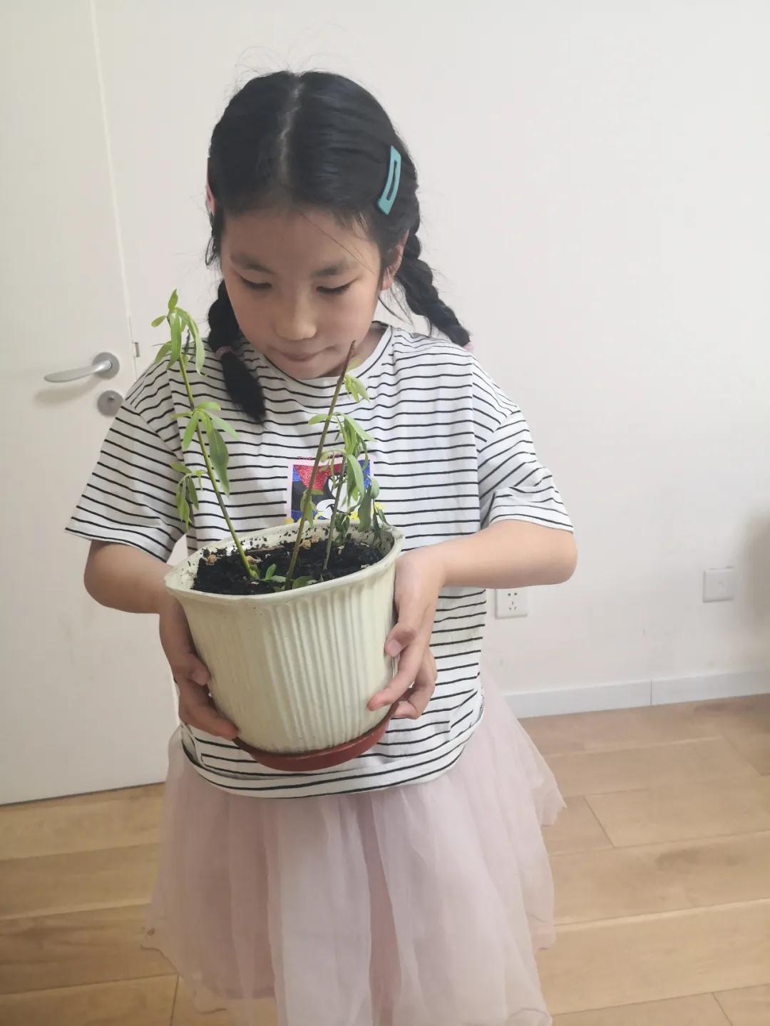 茵茵春色醉人間，幽幽情懷入家園/力邁中美學校環(huán)保教育月彩蛋(圖14)