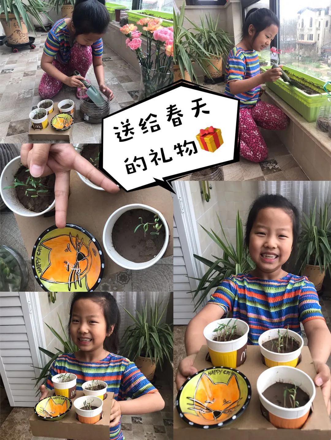 茵茵春色醉人間，幽幽情懷入家園/力邁中美學校環(huán)保教育月彩蛋(圖8)