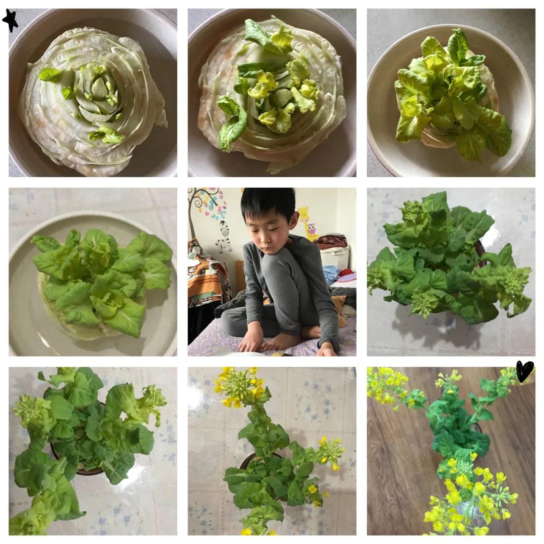 茵茵春色醉人間，幽幽情懷入家園/力邁中美學校環(huán)保教育月彩蛋(圖7)