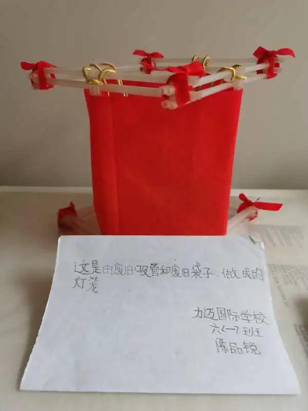 南昌力邁（國際）學(xué)校 | 地球日 | 疫情雖當(dāng)時(shí)，環(huán)保不停歇(圖10)