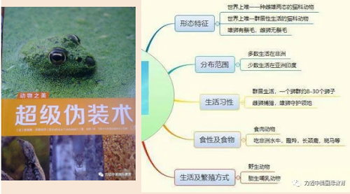獲得16.7萬關(guān)注量的在線公開課，STEAM教學(xué)設(shè)計(jì)如何吸人眼球？(圖7)