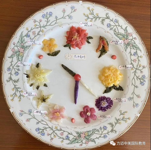 獲得16.7萬關(guān)注量的在線公開課，STEAM教學(xué)設(shè)計(jì)如何吸人眼球？(圖6)