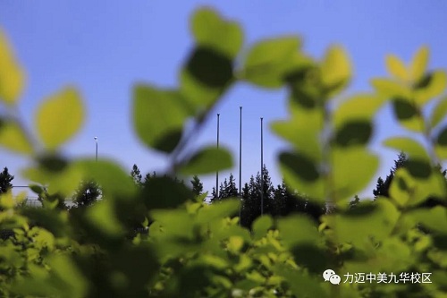 秋日力邁，盼你歸來(lái)(圖11)