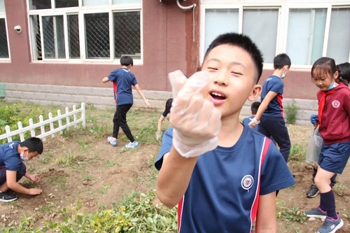 我愛這土地，因為我嗅到了泥土和草葉的芬芳|力邁中美國際學校勞動教育實踐活動(圖10)