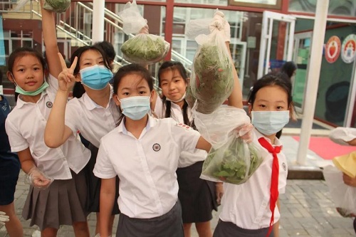 我愛這土地，因為我嗅到了泥土和草葉的芬芳|力邁中美國際學校勞動教育實踐活動(圖18)
