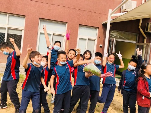 我愛這土地，因為我嗅到了泥土和草葉的芬芳|力邁中美國際學校勞動教育實踐活動(圖17)