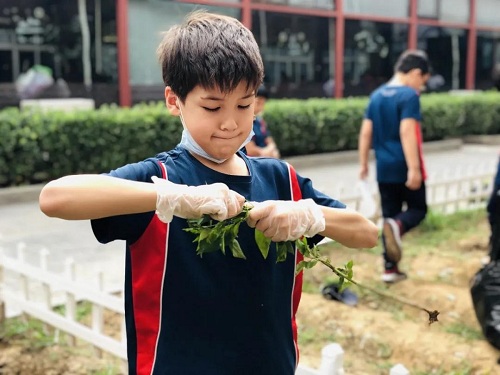 我愛這土地，因為我嗅到了泥土和草葉的芬芳|力邁中美國際學校勞動教育實踐活動(圖11)