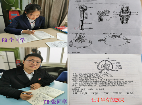 厚積薄發(fā)，大放異彩｜力邁中美國(guó)際學(xué)校中學(xué)部期中總結(jié)表彰大會(huì)暨北美學(xué)部開放日(圖8)