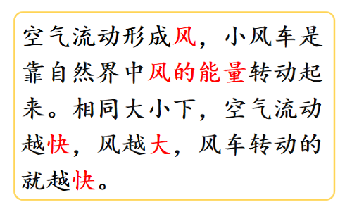 跨學(xué)科的探究課|力邁中美國際學(xué)校STEAM課程系列八(圖17)