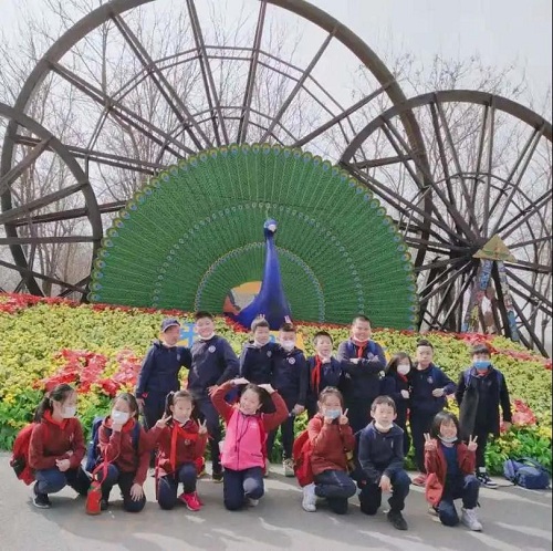 惠風(fēng)和暢，游目騁懷 | 力邁中美國際學(xué)校全體中小學(xué)生社會實踐活動(圖38)