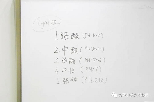 CPS Program III|感受實(shí)驗(yàn)之趣 ，走進(jìn)化學(xué)之美！(圖13)